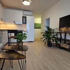 2 room Apartment with terrace, new building, 413