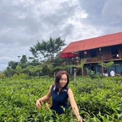 Tea Garden House