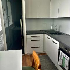 1 Bedroom Apartment w/Balcony