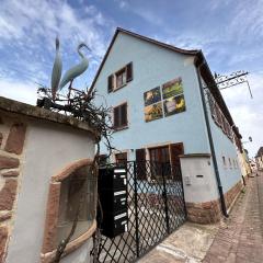 Charmant et chaleureux gîte dans le vignoble