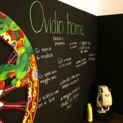 Ovidio home