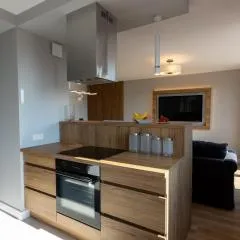 Ostróda City Center Top floor lake view & balcony apartment