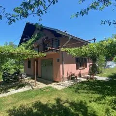 Family-friendly apartments with swimming pools Plaski, Velebit - 20466