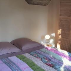 Chambre côté jardin dans maison Art Déco Toulouse