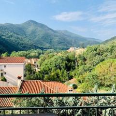 Appartement Amélie-les-Bains-Palalda, 3 pièces, 5 personnes - FR-1-703-97