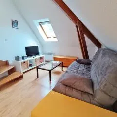 Chez Charlotte, T3 duplex, vue montagne, parking gratuit, ascenseur, 4 personnes