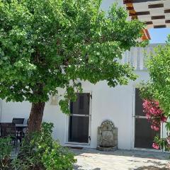Villa Beloussi Zakynthos