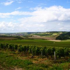 Pause nature à la ferme, campagne viticole