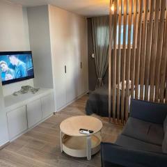 Chic fully equipped Studio Apart - Netflix - Wi-Fi