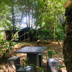 Mossy Forest Chalets