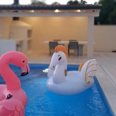 Villa Salvore - new luxury house, heated pool, near beaches, playroom - Istria