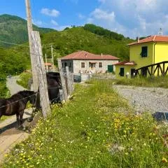 Colle del Faggio Nature Home