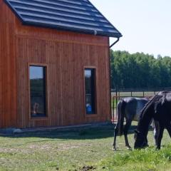 Serock okolice - Domek przy stajni i dębowym lesie