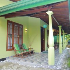 The Green Villa - Hapugala