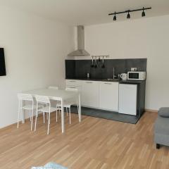 Brand new one bedroom apartment #54 in brand new building with free parking
