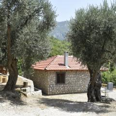 Discover Zupci's Hidden Gem: Your Mountain Oasis with Historic Olive Trees