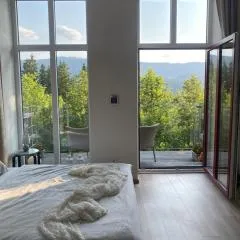 Apartmán Vyhlídka Hamry