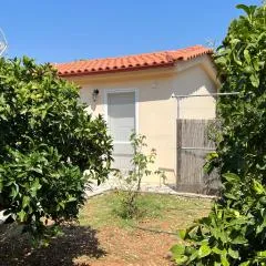 Villa Kostoula Mini house