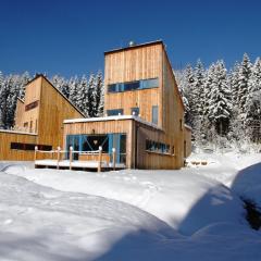 Spacious chalet in residential area, modern, luxury interior, large terrace