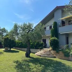 App Trinodis