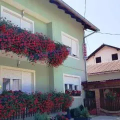 ANA