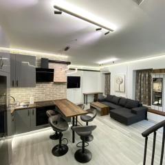 Brand New Luxury Apartment in Absolute Downtown