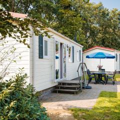 Nice chalet in a holiday park with swimming pool, on the Leukermeer
