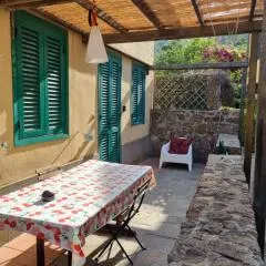 Mia House