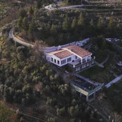 Top privacy Eco Villa of 2023 @ TEG hill Tirana