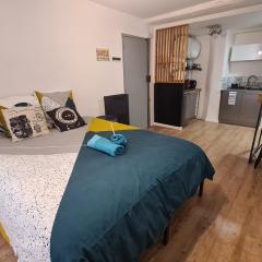 Studio Bon pasteur hyper centre Aix