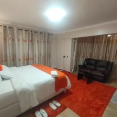 Zerra Luxury 3 bedroom in Nakuru CBD