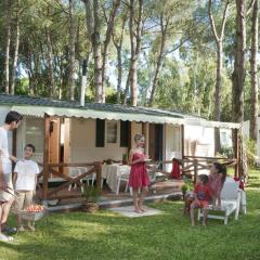 Modern Chalet w Pool Views