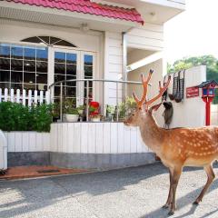Nara - Hotel / Vacation STAY 47950