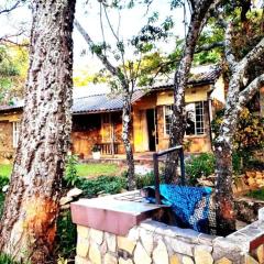 10 guest stay in the mountains of Nyanga!