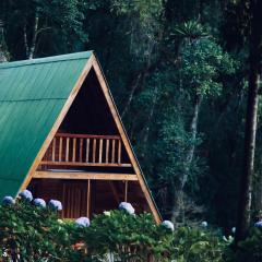 Chalé cercado de muito verde a 9km de Sto Antonio do Pinhal - Área rural