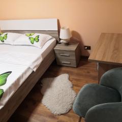 Cozy central apartment in Cluj Napoca