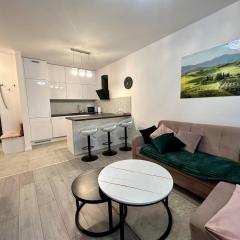 SDH 2 Wolomin comfortable apartment near Warsaw