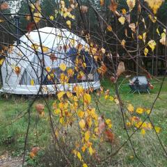 Glamping Drzwi Do Lasu