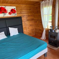 Le domaine des oiseaux