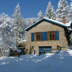 Chalet familial spacieux avec sauna au cœur du Bessat - FR-1-496-24