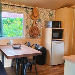 Cottage gîte aux Lauriers Lacroix sur meuse