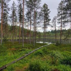 Mökki Mannervaarassa, Joensuussa