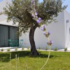 Casa Solà