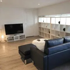 Appartement charmant américain