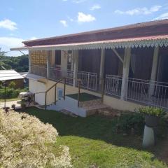 Le bien-être tropical, entre nature et plages