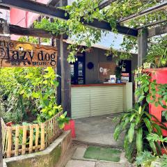 레이지 독 배드 앤드 블랙퍼스트(Lazy Dog Bed & Breakfast)