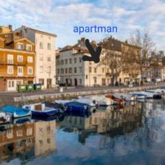 IN the CENTAR APARTMENT