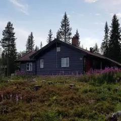 Trysil Fageråsen - Ski in/out