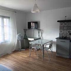 Studio vue château 100m étang, plage et halles