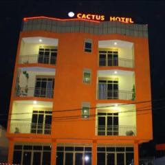 CACTUS HOTEL